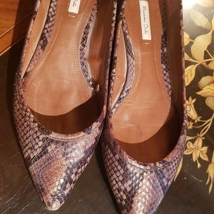 Massimo Dutti faux snake flat.